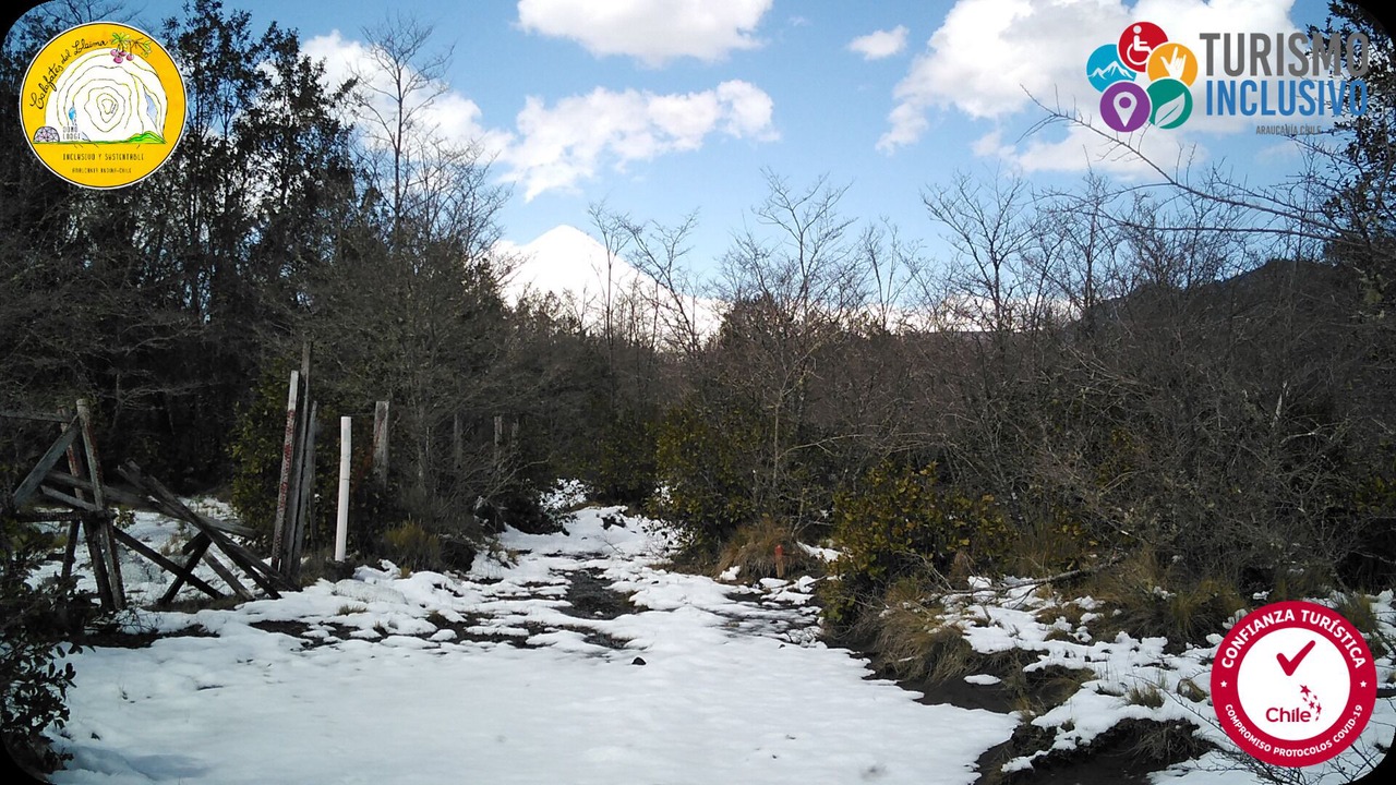 Photo of Outdoor in Curacautin