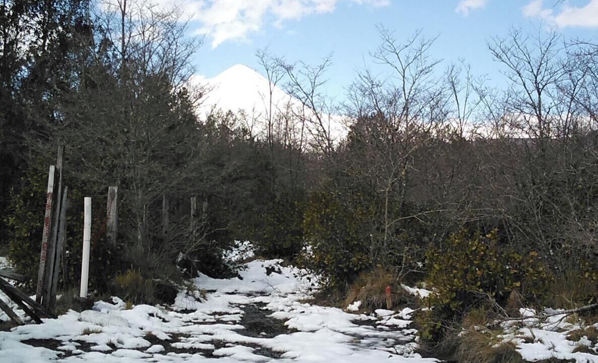 Photo of Outdoor in Curacautin