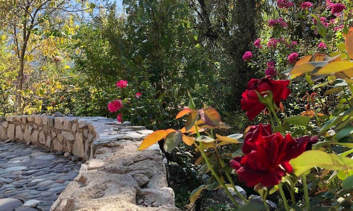 Photo of Outdoor in El Ingenio