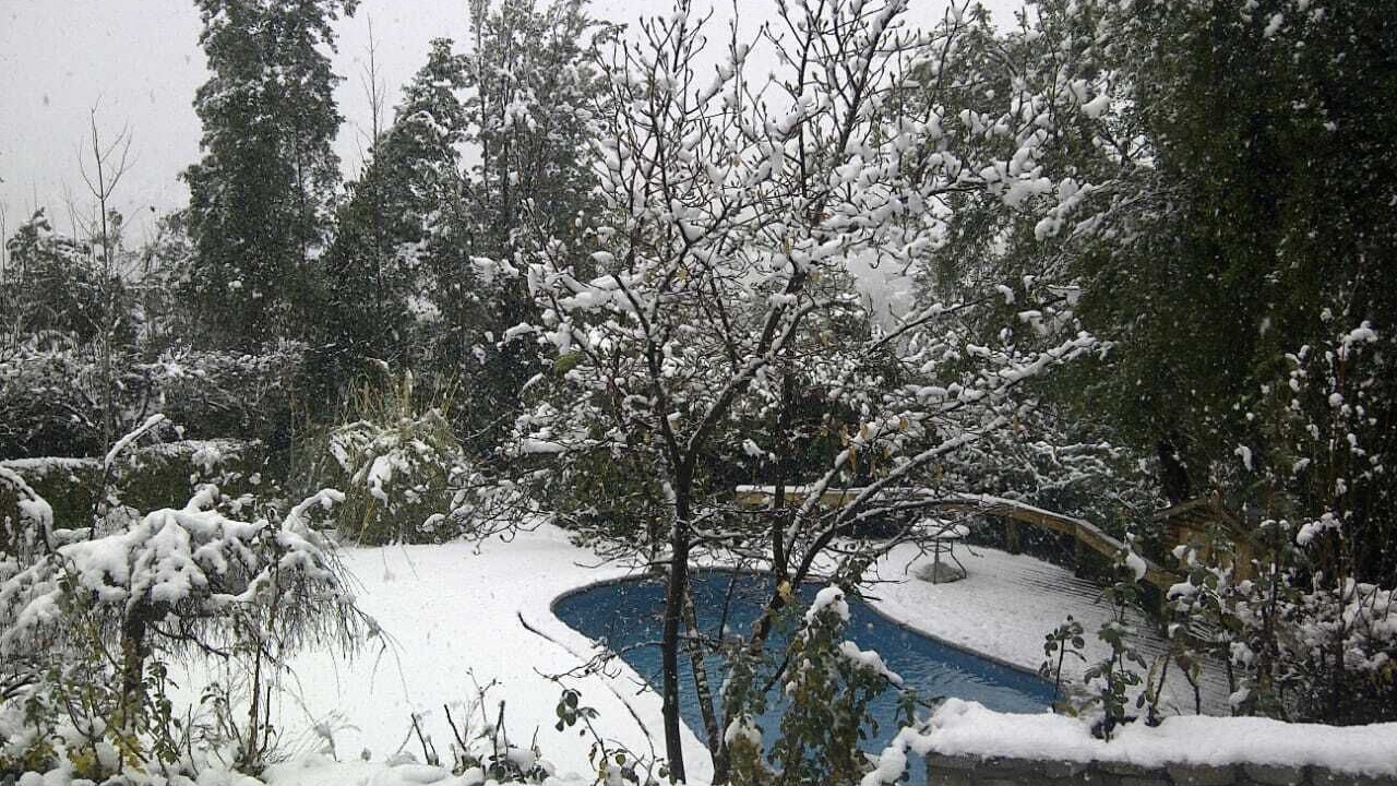 Photo of Outdoor in El Ingenio