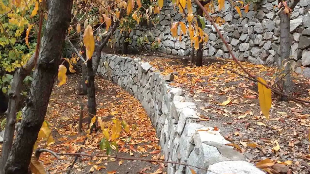 Photo of Outdoor in El Ingenio