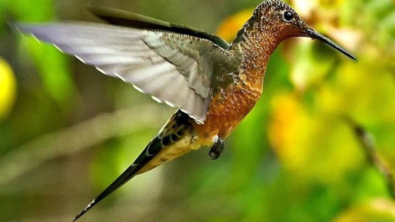 Photo of Outdoor in El Ingenio