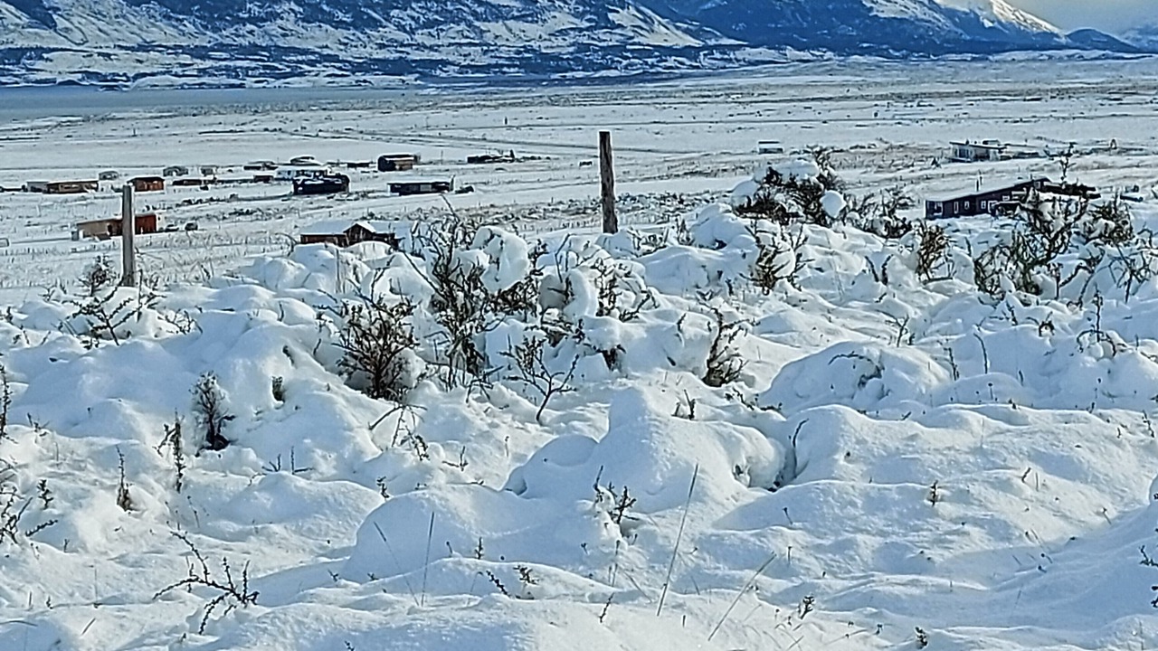 Photo of Others in Puerto Natales