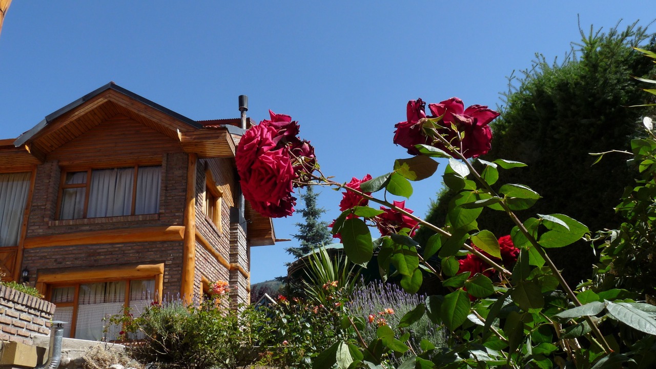 Photo of Outdoor in San Carlos de Bariloche