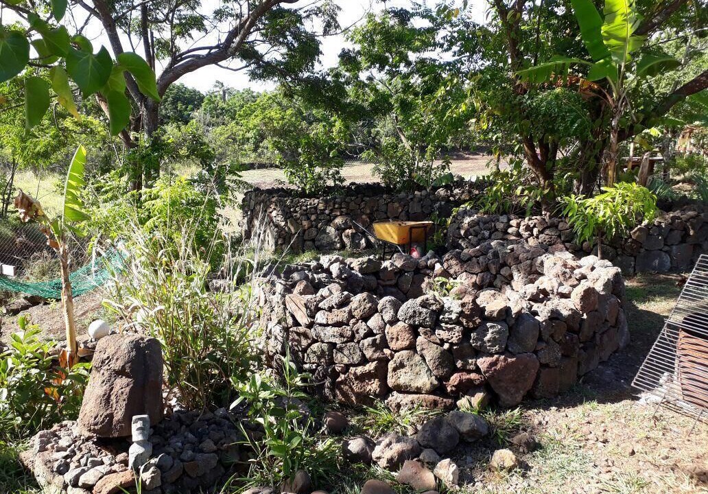 Photo of Outdoor in Hanga Roa