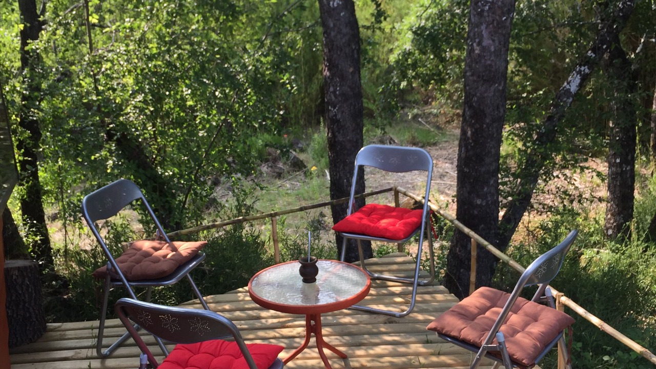 Photo of Outdoor in Pinto