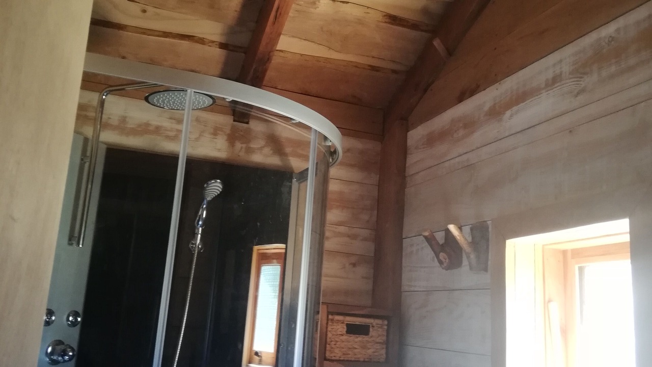 Photo of Bathroom in Pucon