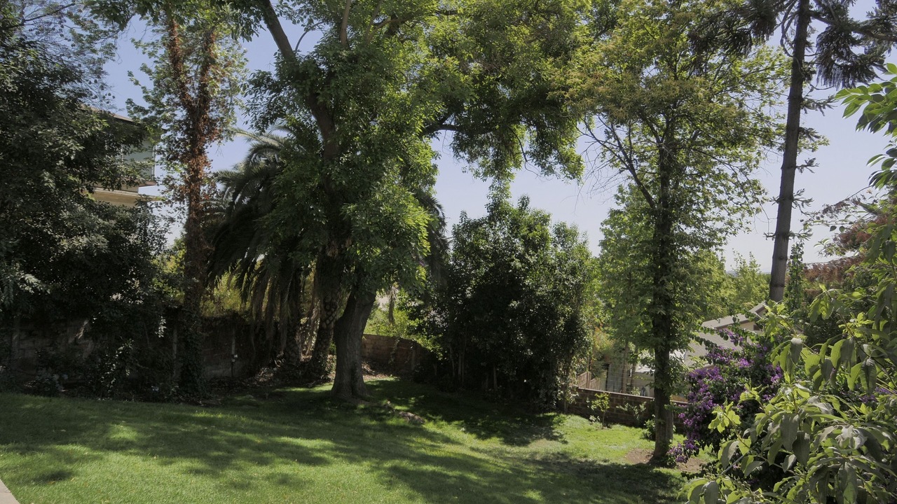 Photo of Others in Apoquindo