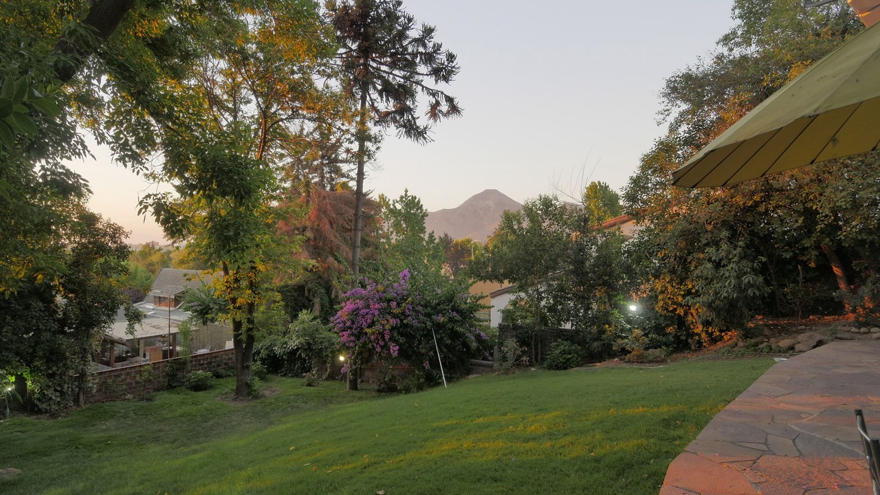 Photo of Others in Apoquindo