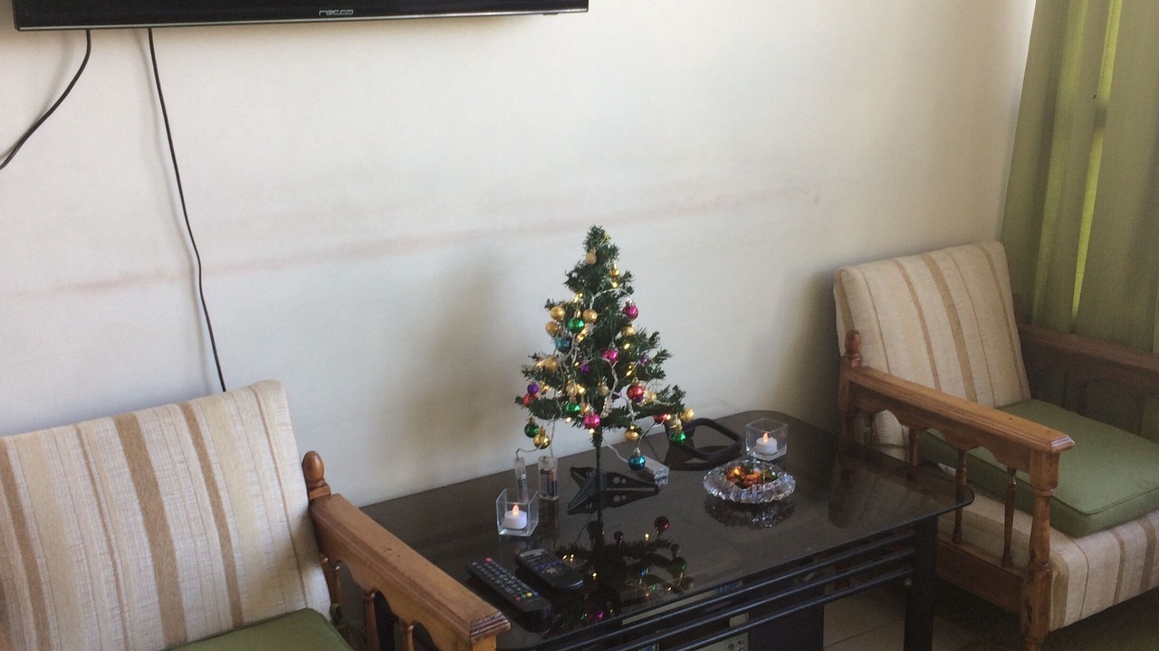 Photo of Livingroom in Downtown Santiago