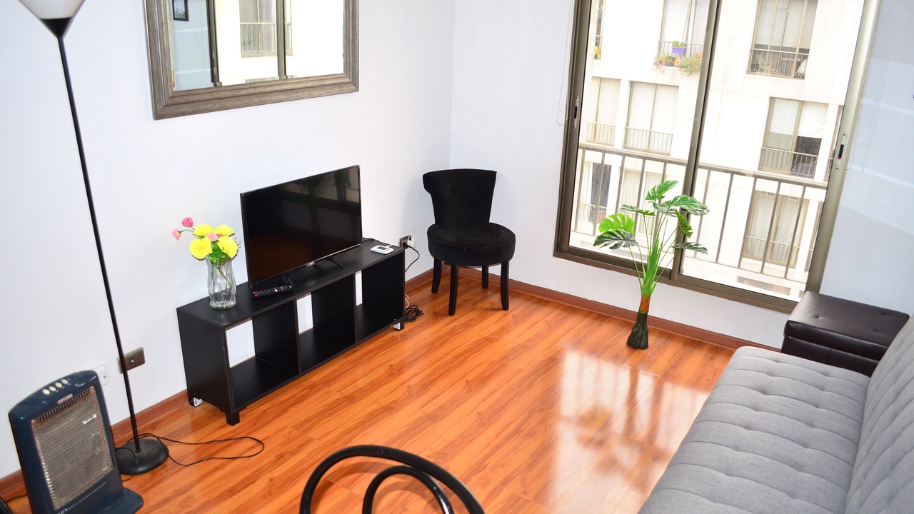 Photo of Livingroom in Lastarria