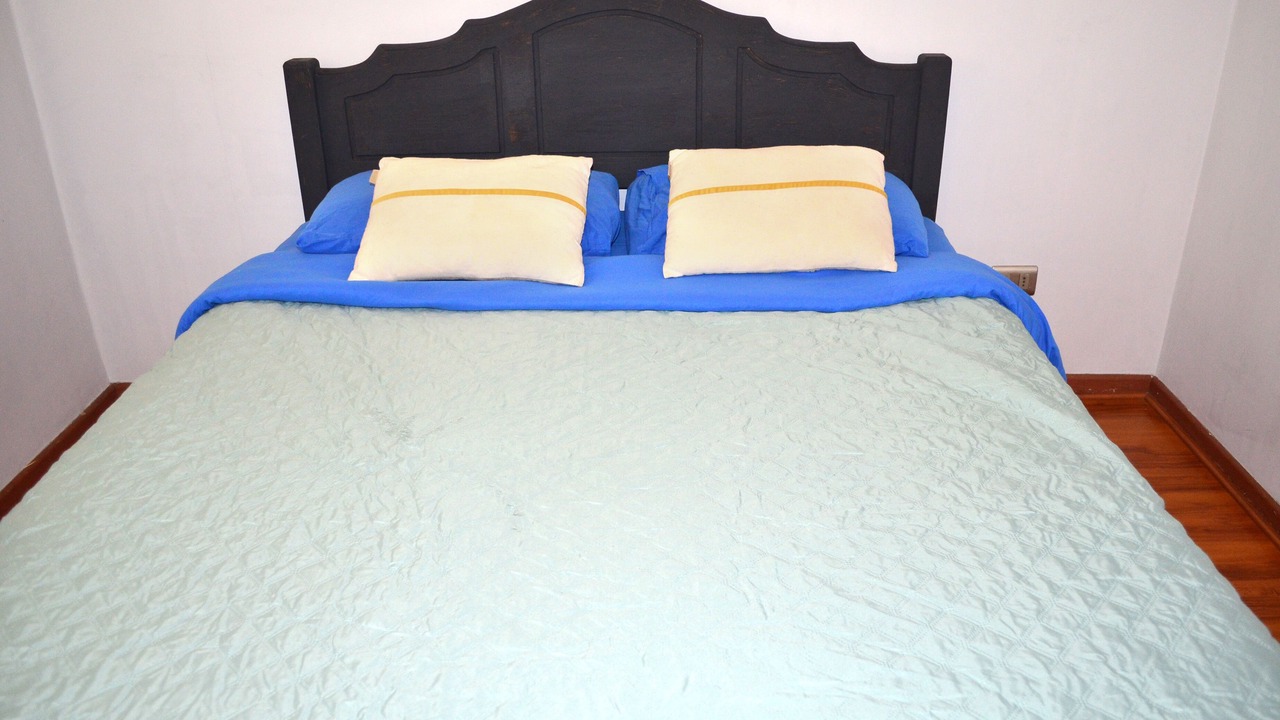 Photo of Bedroom in Lastarria