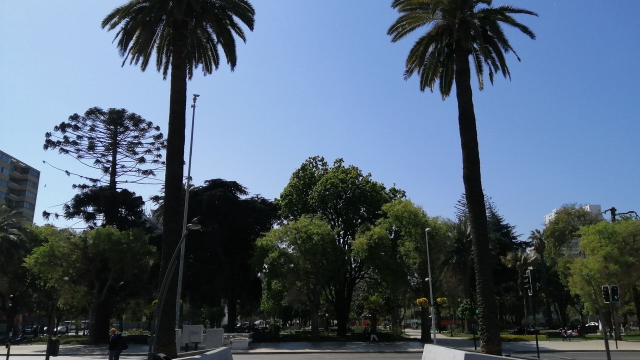 Photo of Outdoor in Vina del Mar