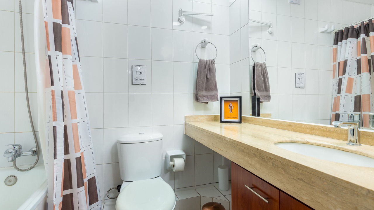 Photo of Bathroom in Downtown Santiago