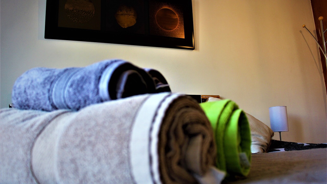 Photo of Bedroom in Downtown Santiago