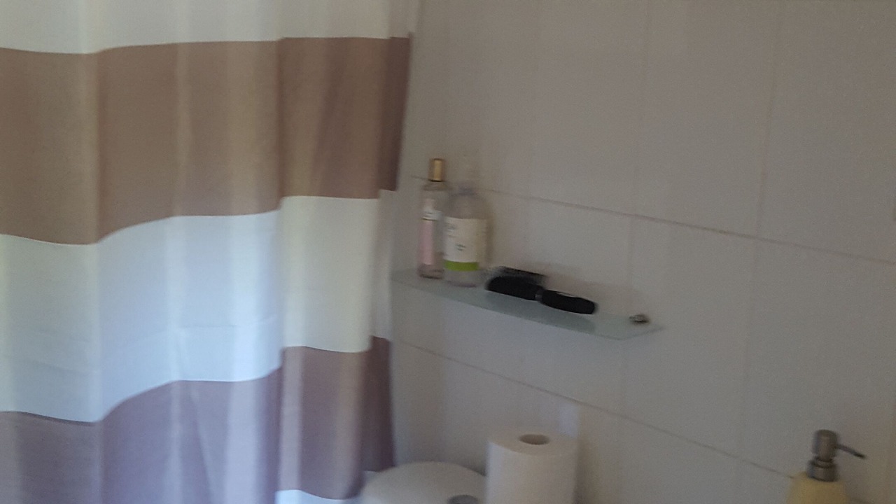 Photo of Bathroom in Melipeuco