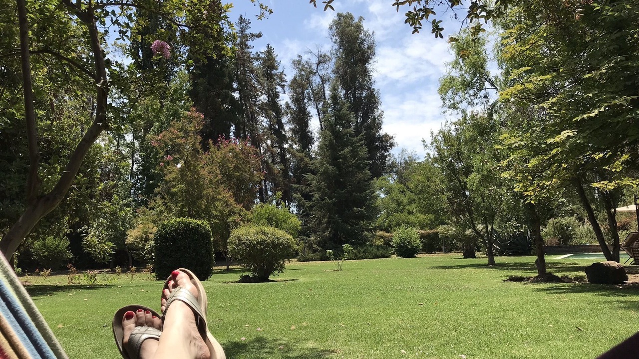Photo of Others in Pirque