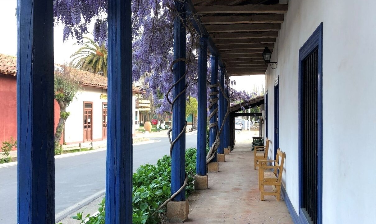 Photo of Others in Vichuquen