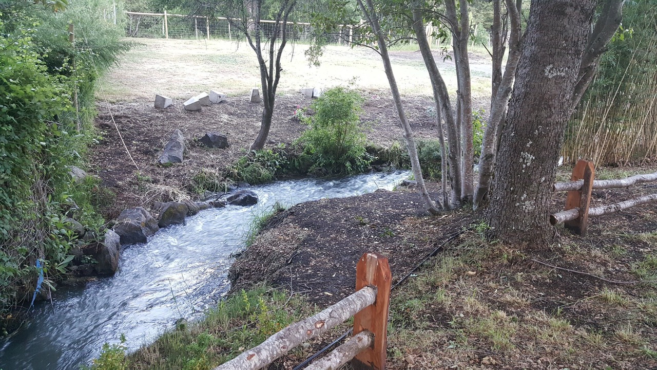 Photo of Outdoor in Pinto
