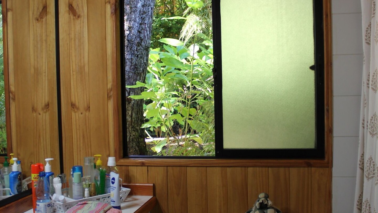 Photo of Bathroom in Pucon