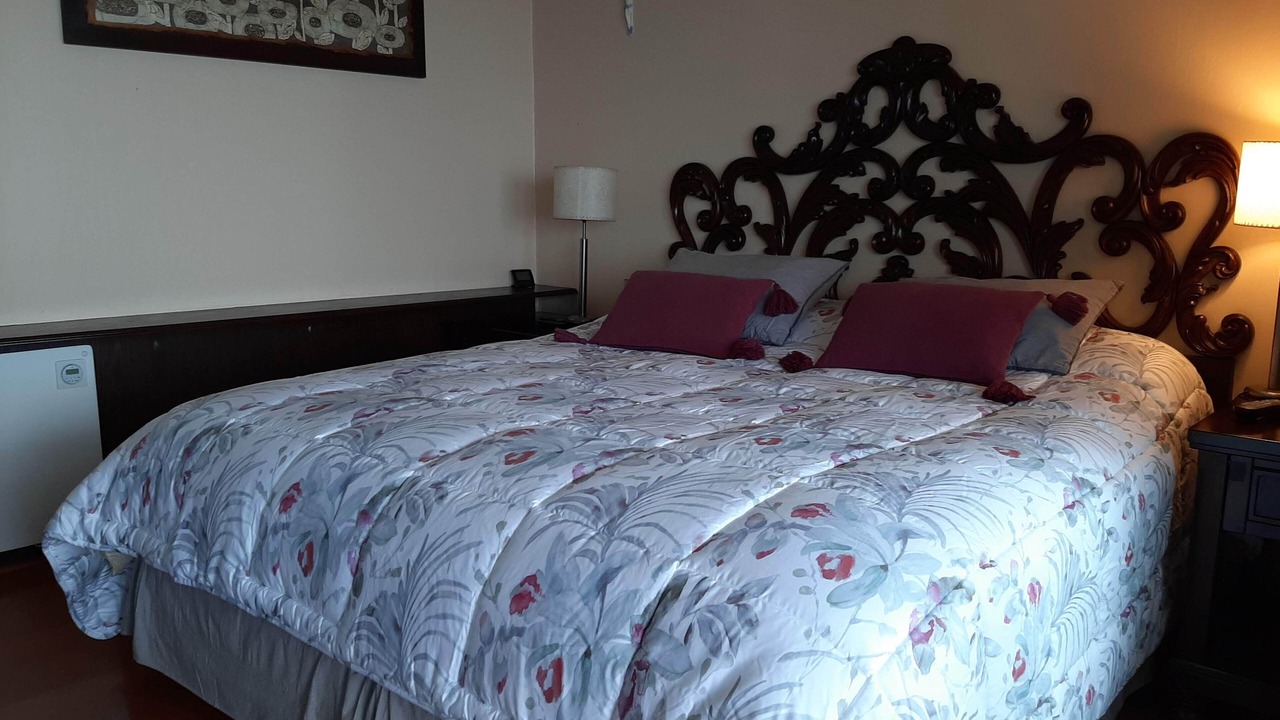 Photo of Bedroom in Vina del Mar