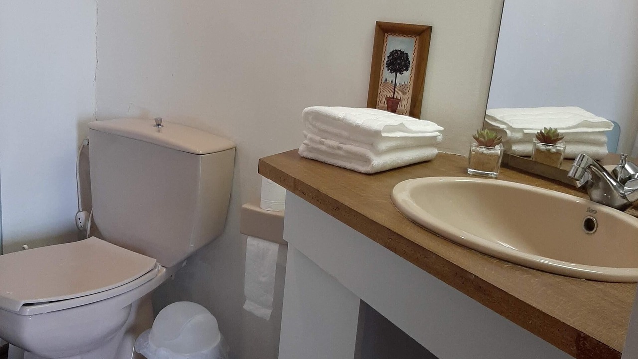 Photo of Bathroom in Vina del Mar