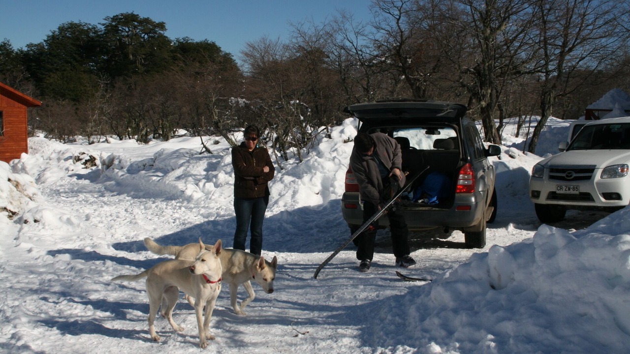 Photo of Others in Pinto