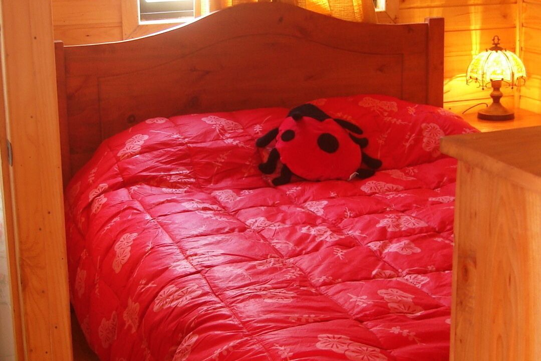 Photo of Bedroom in Pinto