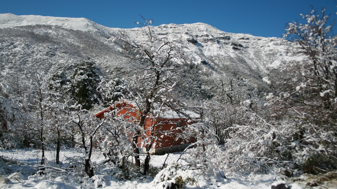 Photo of Others in Pinto
