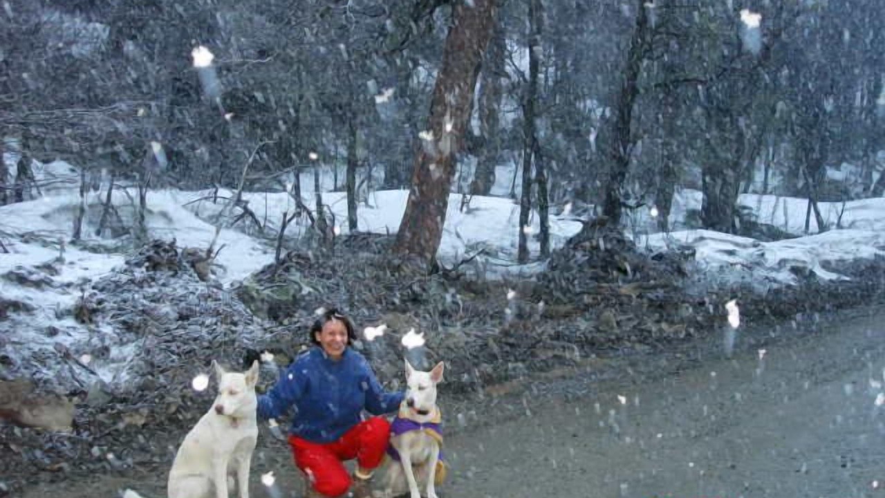 Photo of Others in Pinto