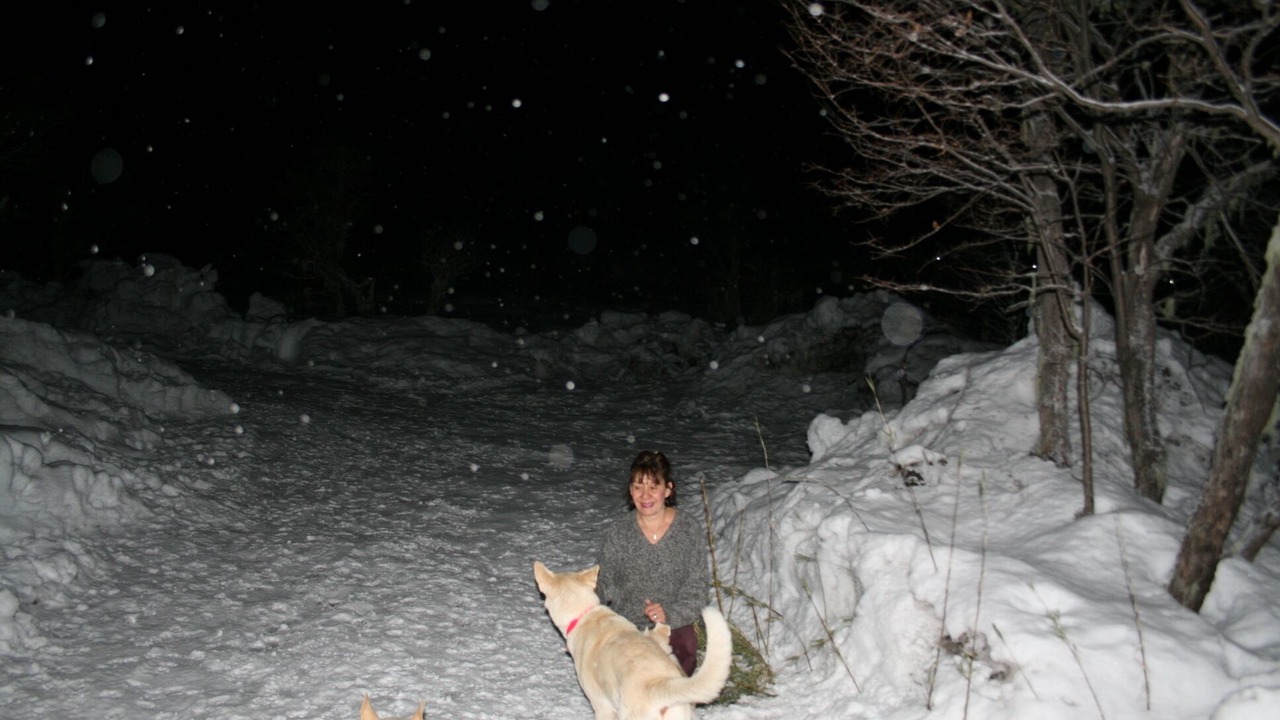 Photo of Outdoor in Pinto