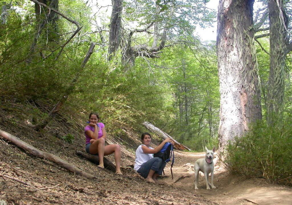 Photo of Outdoor in Pinto