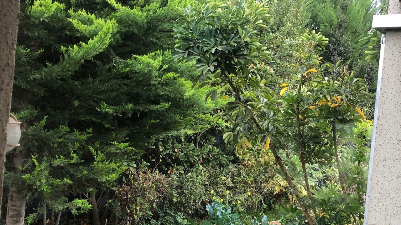 Photo of Outdoor in Colina