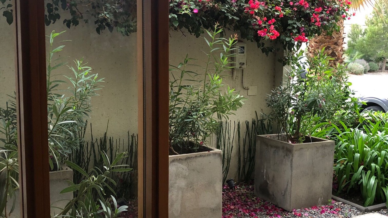 Photo of Outdoor in Colina