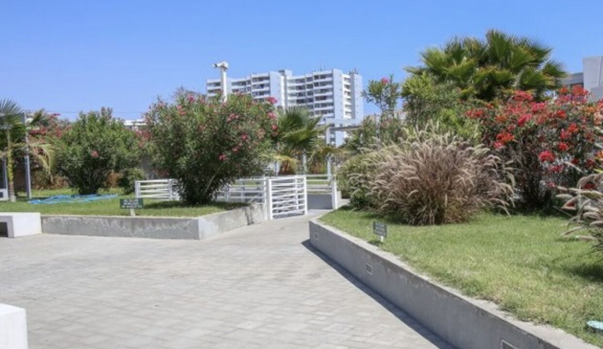 Photo of Outdoor in Arica