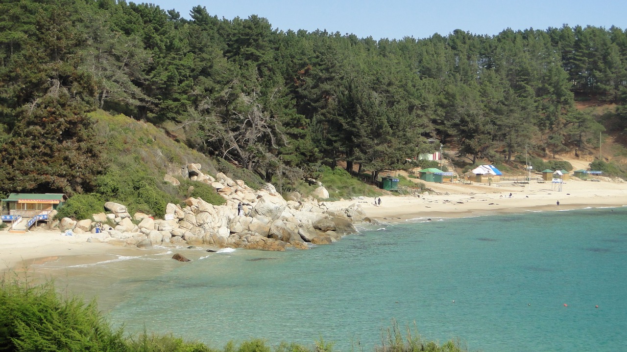 Photo of Others in Algarrobo