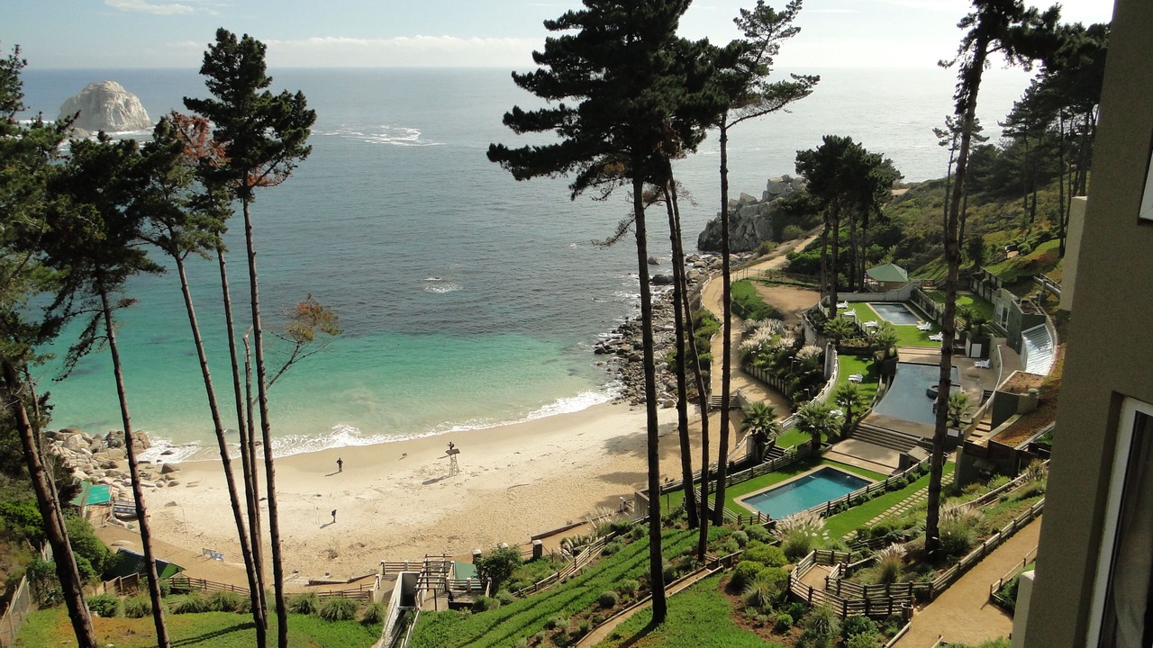 Photo of Others in Algarrobo