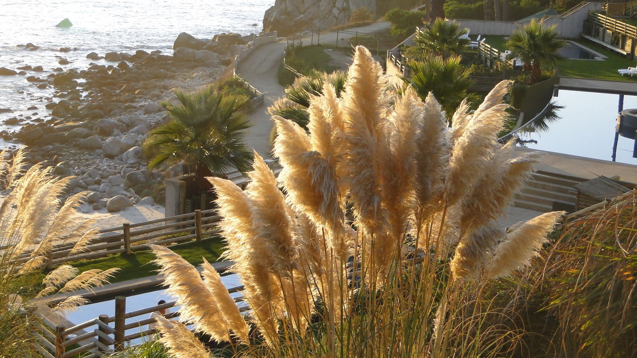 Photo of Outdoor in Algarrobo
