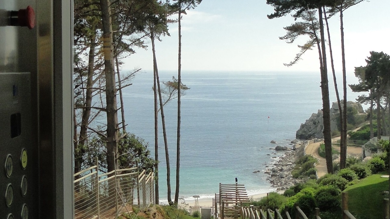 Photo of Others in Algarrobo