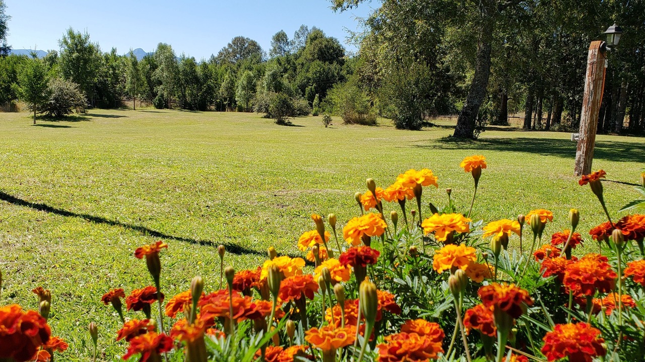 Photo of Outdoor in Molco