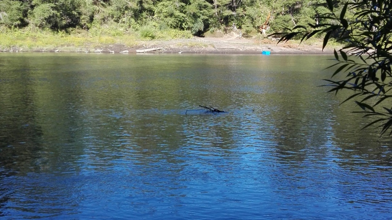 Photo of Others in Pucon