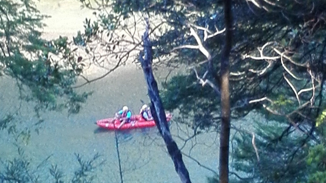 Photo of Others in Pucon