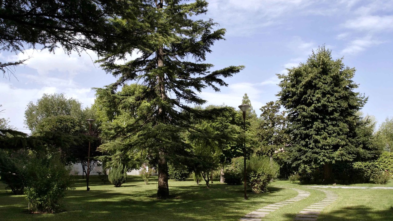 Photo of Outdoor in Chacras de Coria