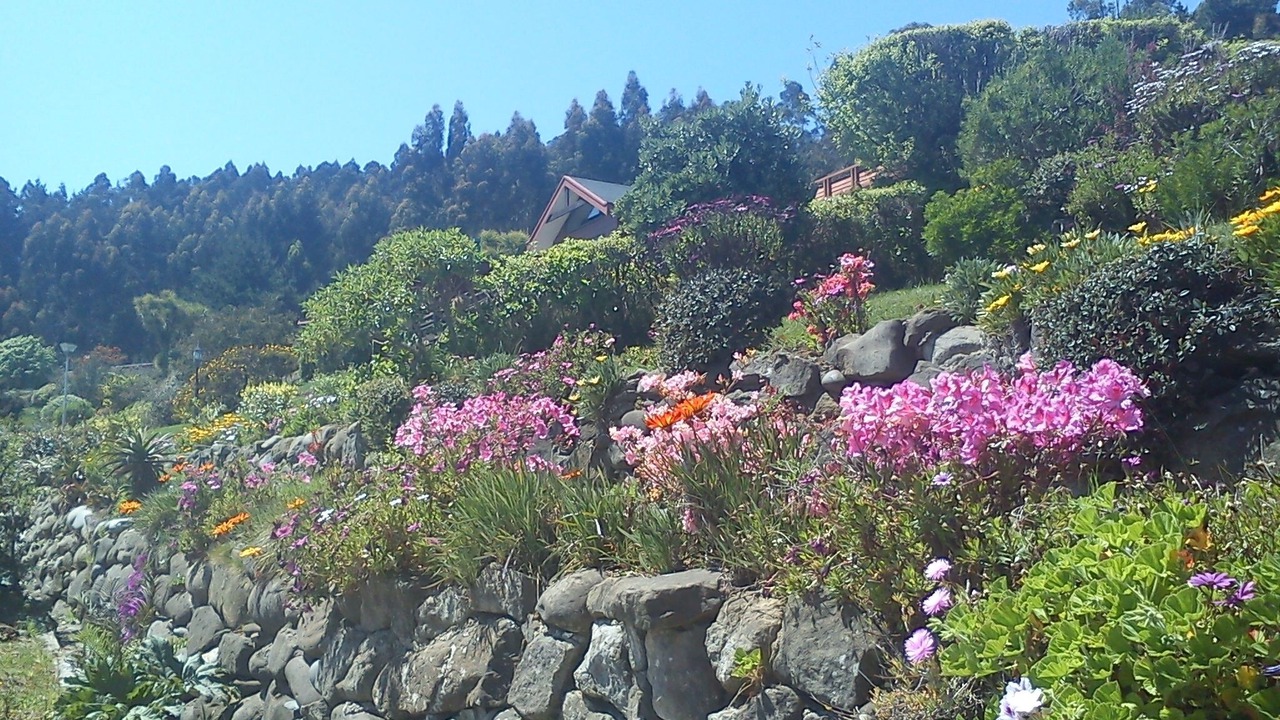 Photo of Outdoor in Tome