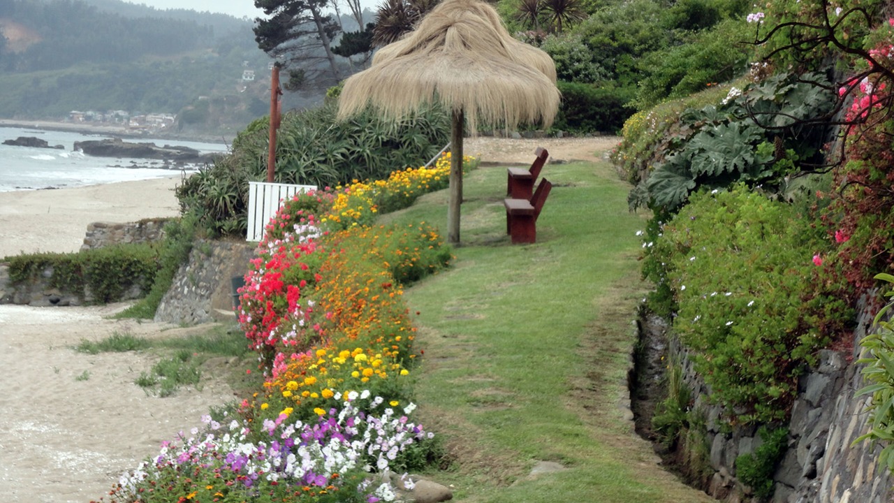 Photo of Outdoor in Tome