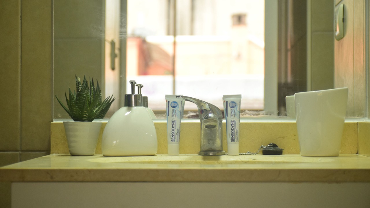 Photo of Bathroom in Downtown Santiago