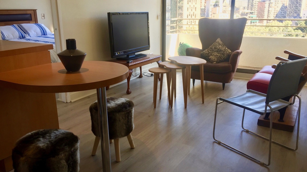 Photo of Livingroom in Downtown Santiago