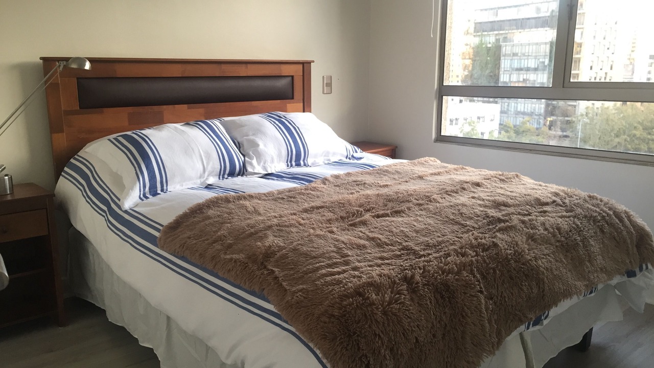 Photo of Bedroom in Downtown Santiago
