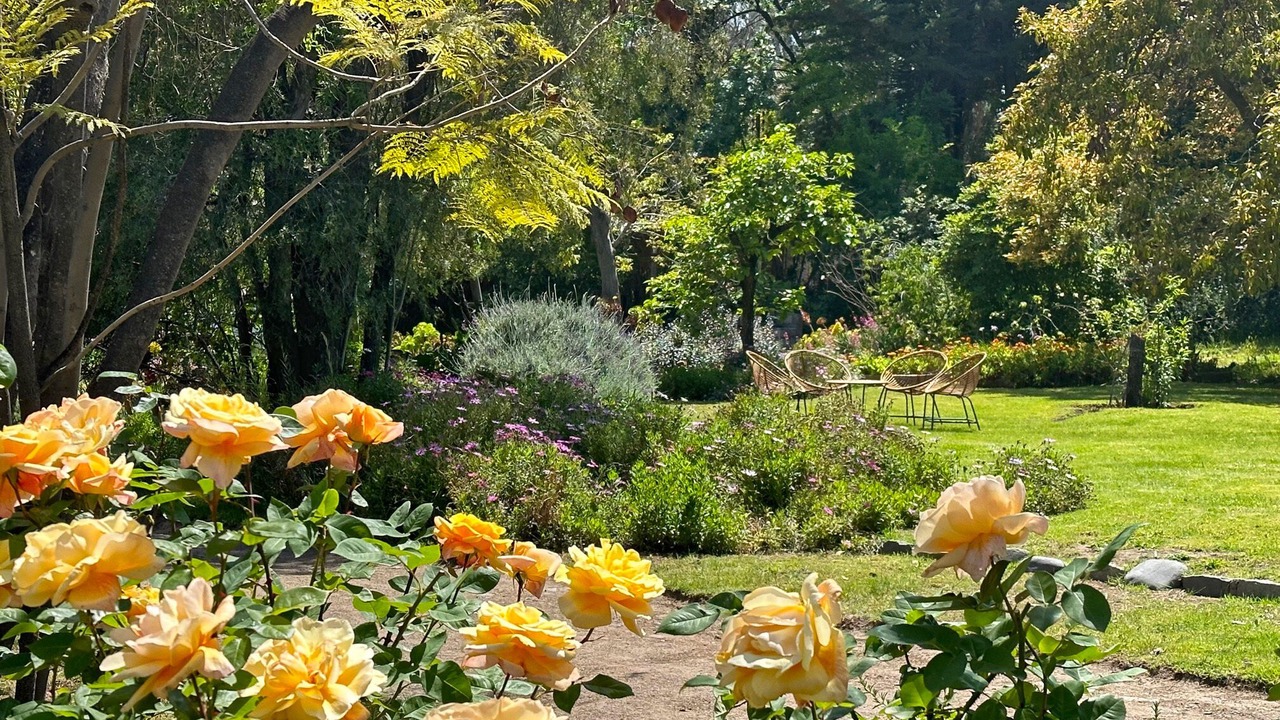 Photo of Outdoor in Pirque