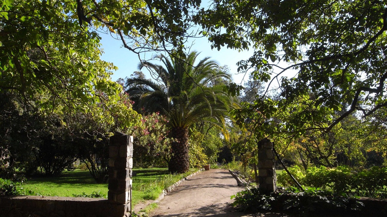 Photo of Outdoor in Pirque